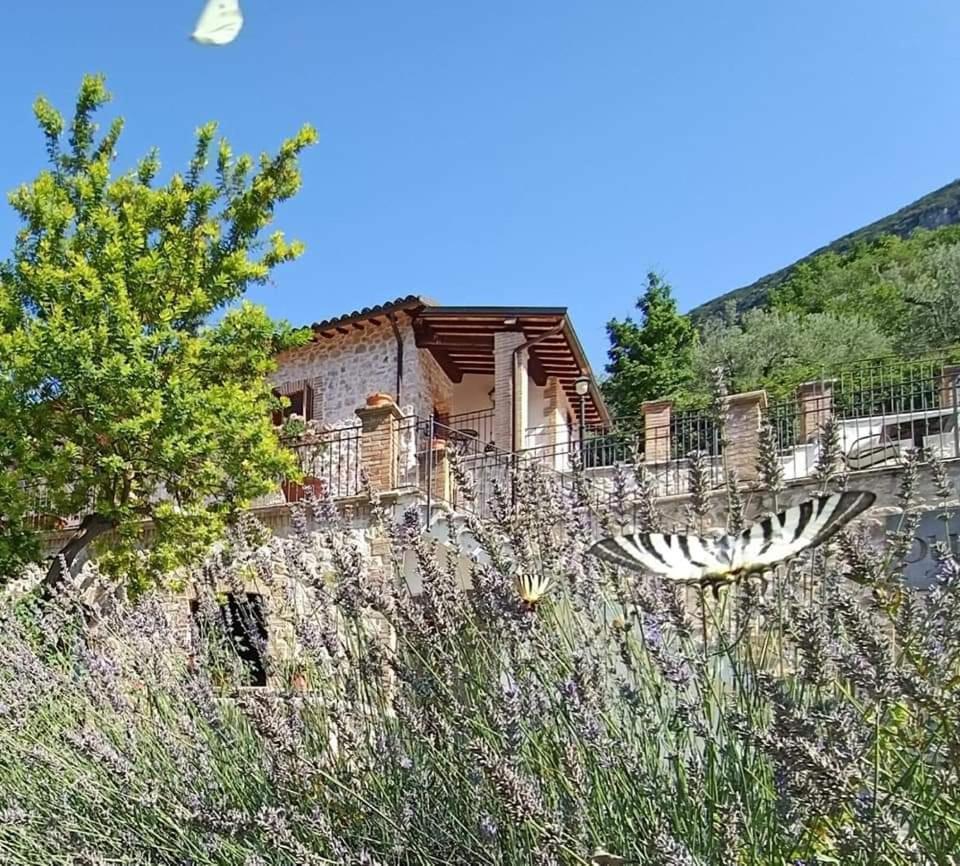 Pucci Country House Ферентилло Экстерьер фото